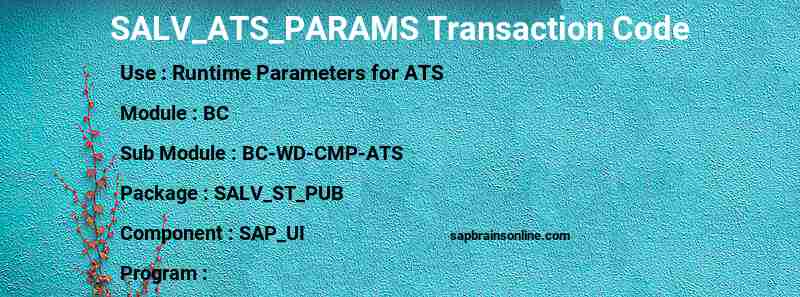 SAP SALV_ATS_PARAMS transaction code