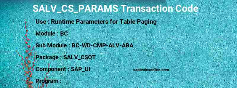 SAP SALV_CS_PARAMS transaction code