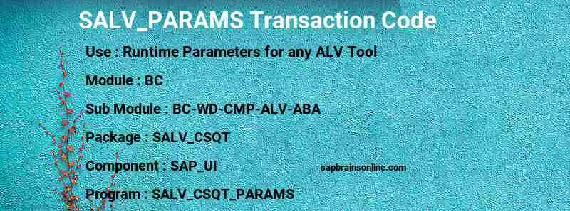 SAP SALV_PARAMS transaction code