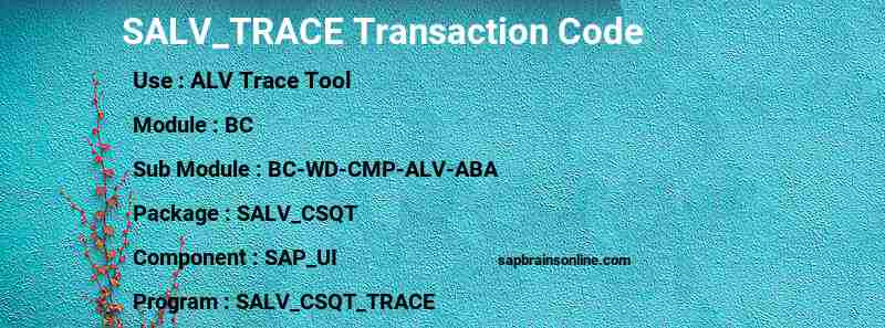 SAP SALV_TRACE transaction code