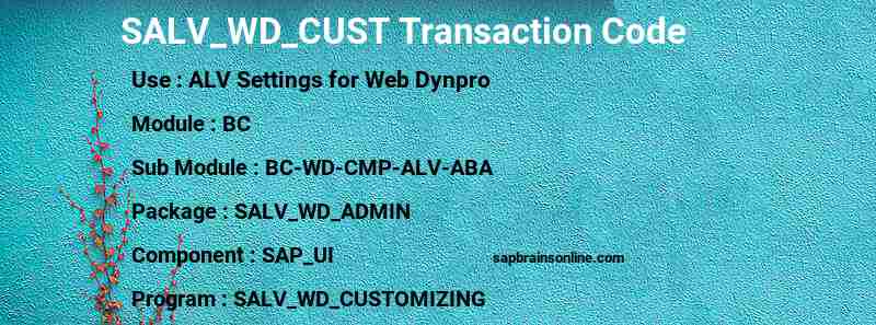 SAP SALV_WD_CUST transaction code