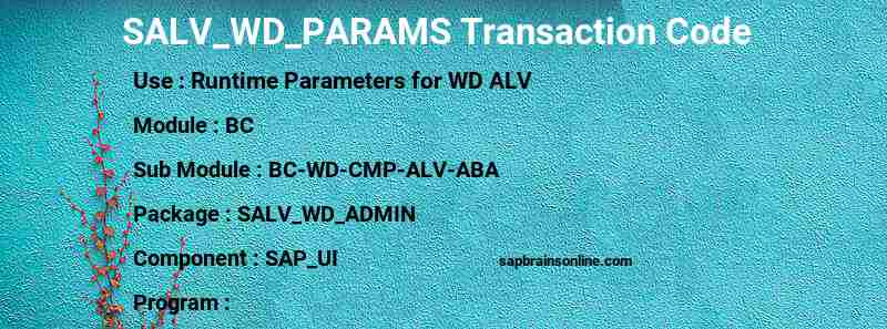 SAP SALV_WD_PARAMS transaction code