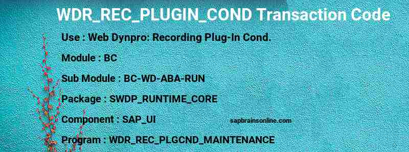 SAP WDR_REC_PLUGIN_COND transaction code