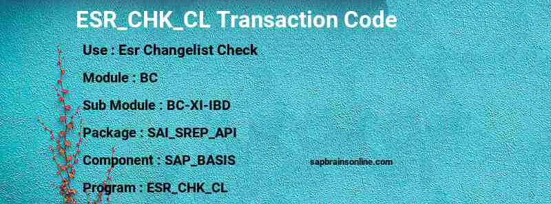 SAP ESR_CHK_CL transaction code