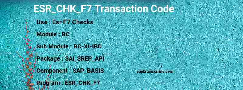 SAP ESR_CHK_F7 transaction code