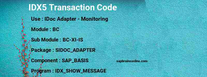 SAP IDX5 transaction code