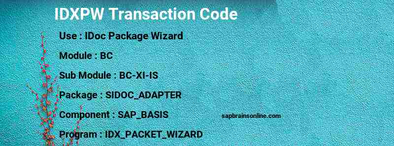 SAP IDXPW transaction code