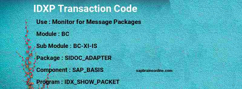 SAP IDXP transaction code