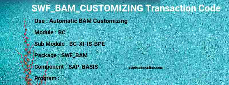 SAP SWF_BAM_CUSTOMIZING transaction code