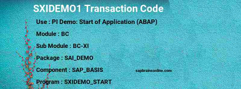 SAP SXIDEMO1 transaction code