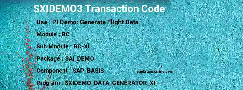 SAP SXIDEMO3 transaction code