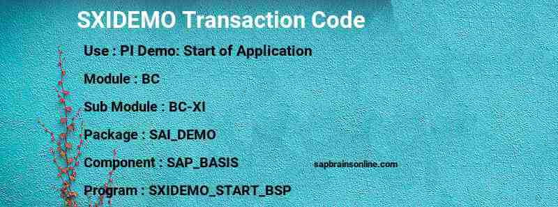 SAP SXIDEMO transaction code