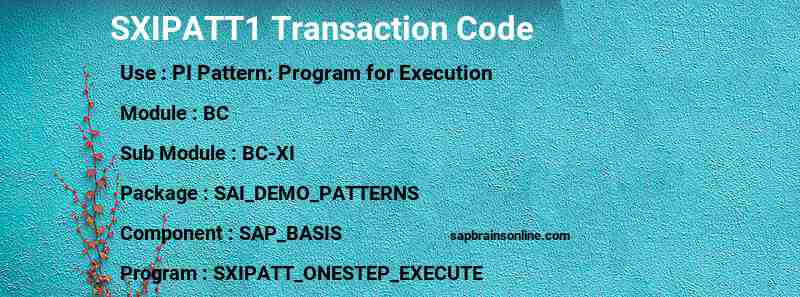SAP SXIPATT1 transaction code
