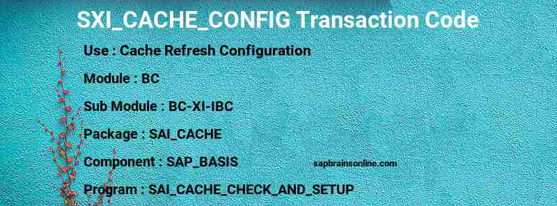 SAP SXI_CACHE_CONFIG transaction code