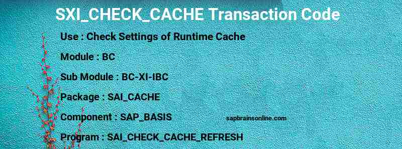 SAP SXI_CHECK_CACHE transaction code