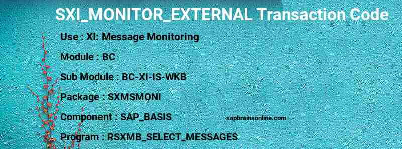 SAP SXI_MONITOR_EXTERNAL transaction code