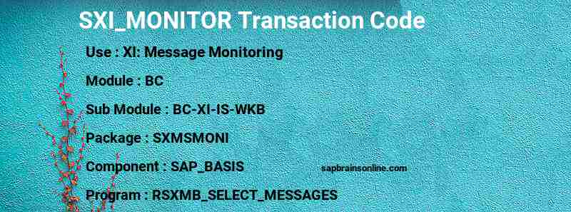 SAP SXI_MONITOR transaction code