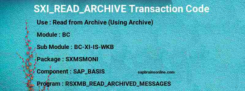 SAP SXI_READ_ARCHIVE transaction code