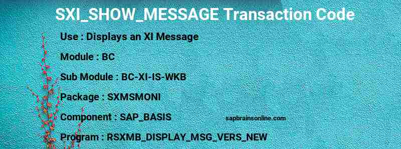 SAP SXI_SHOW_MESSAGE transaction code