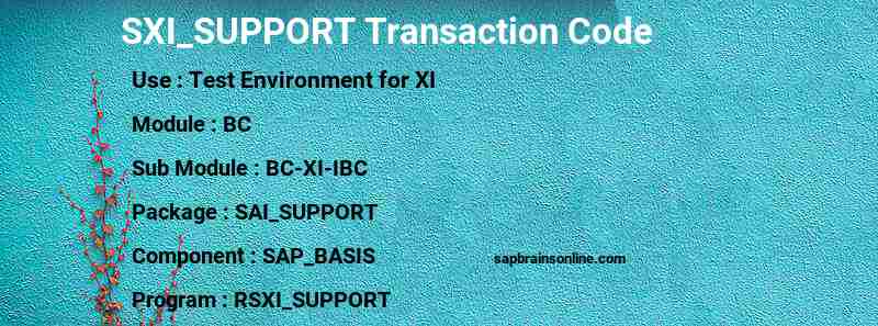 SAP SXI_SUPPORT transaction code
