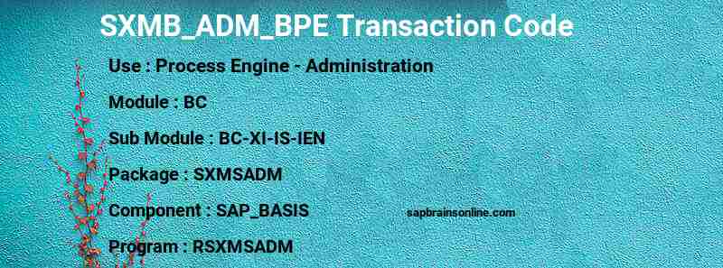 SAP SXMB_ADM_BPE transaction code