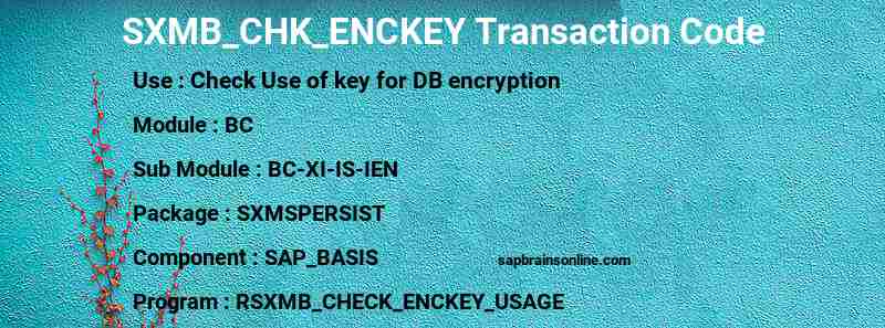 SAP SXMB_CHK_ENCKEY transaction code