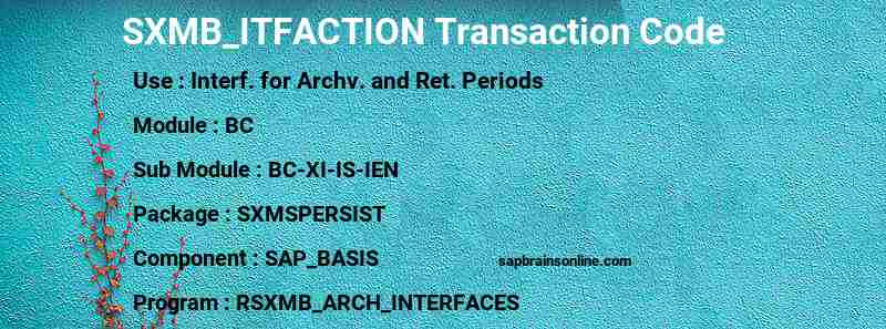 SAP SXMB_ITFACTION transaction code
