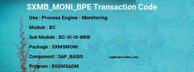 SAP SXMB_MONI_BPE transaction code