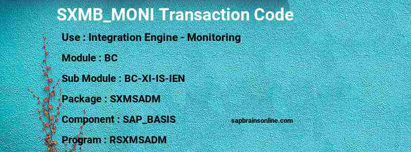 SAP SXMB_MONI transaction code