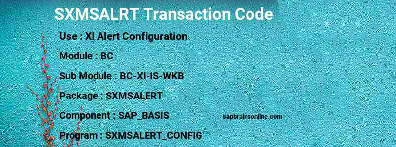 SAP SXMSALRT transaction code