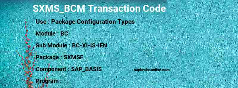 SAP SXMS_BCM transaction code