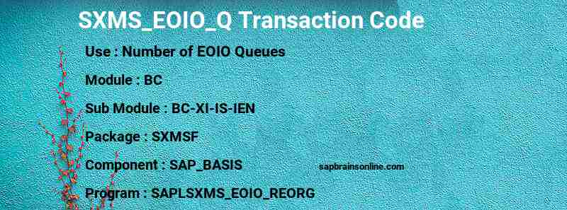 SAP SXMS_EOIO_Q transaction code