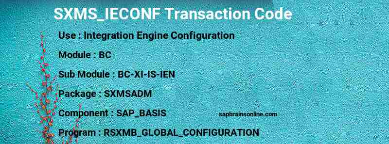 SAP SXMS_IECONF transaction code