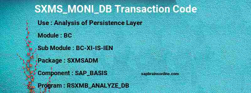 SAP SXMS_MONI_DB transaction code