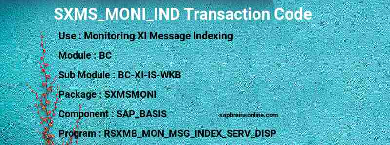 SAP SXMS_MONI_IND transaction code