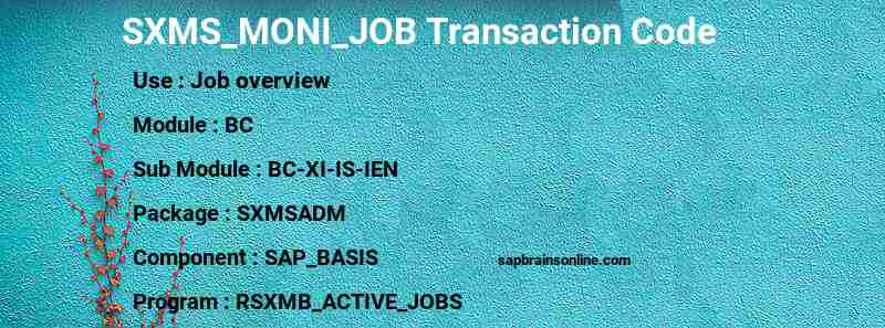 SAP SXMS_MONI_JOB transaction code