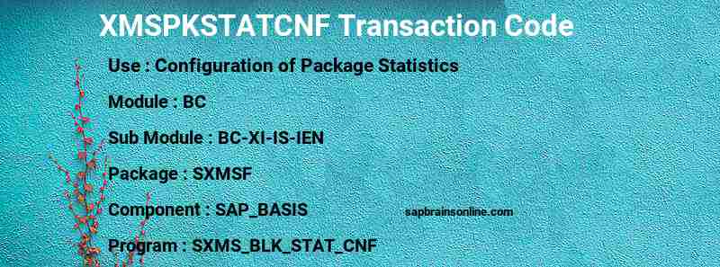SAP XMSPKSTATCNF transaction code