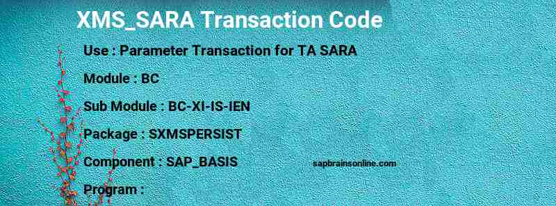SAP XMS_SARA transaction code
