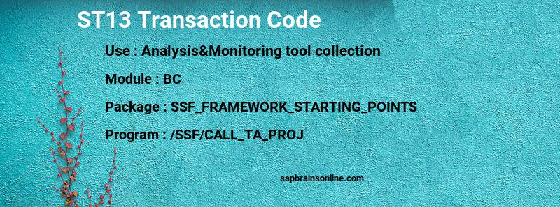 SAP ST13 transaction code