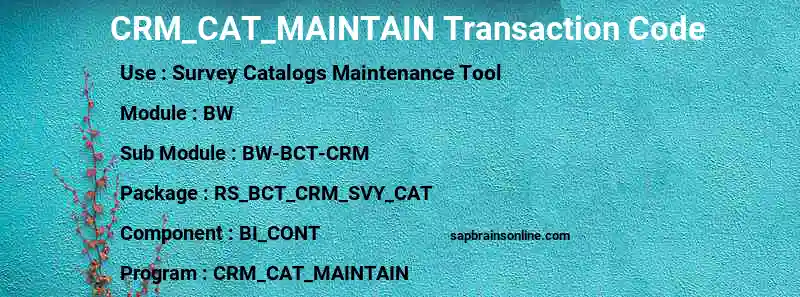 SAP CRM_CAT_MAINTAIN transaction code