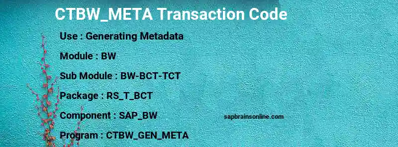 SAP CTBW_META transaction code