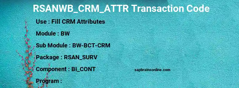SAP RSANWB_CRM_ATTR transaction code