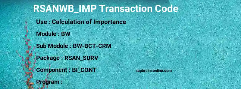 SAP RSANWB_IMP transaction code