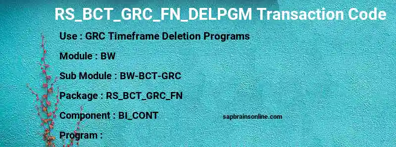 SAP RS_BCT_GRC_FN_DELPGM transaction code