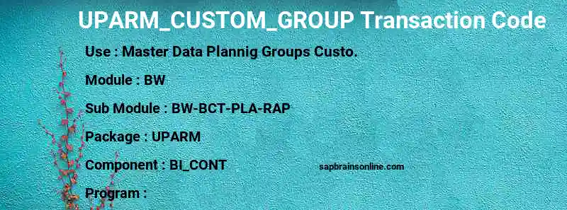 SAP UPARM_CUSTOM_GROUP transaction code