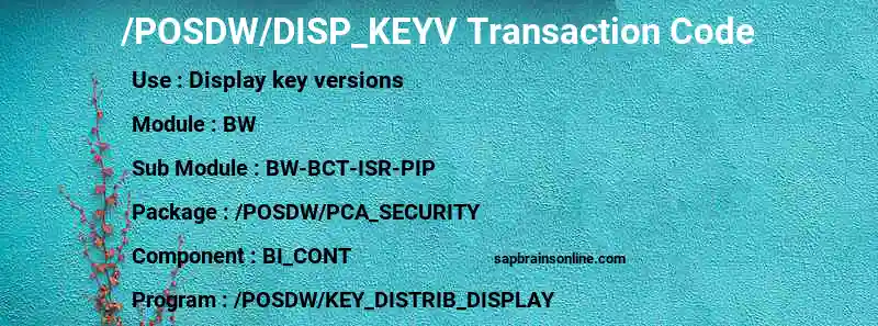 SAP /POSDW/DISP_KEYV transaction code