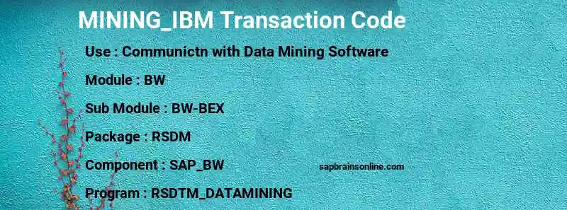 SAP MINING_IBM transaction code