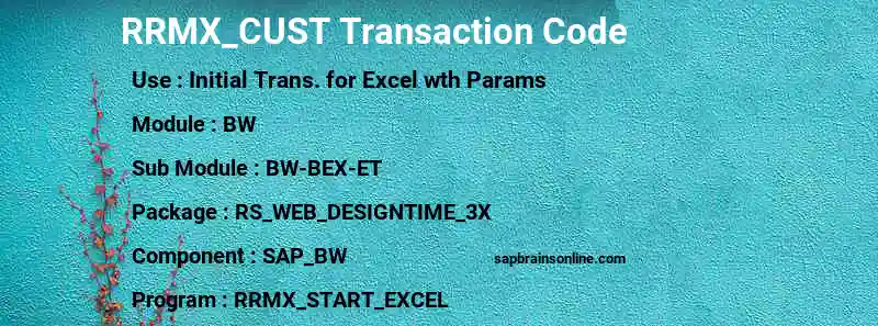 SAP RRMX_CUST transaction code