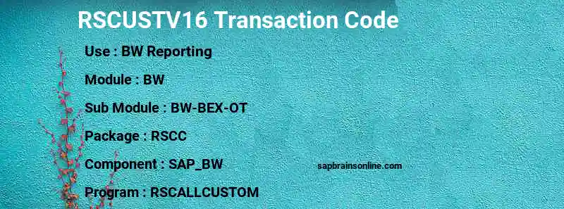SAP RSCUSTV16 transaction code