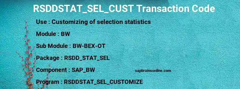 SAP RSDDSTAT_SEL_CUST transaction code